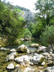 Gorges_de_la_Siagne.jpg