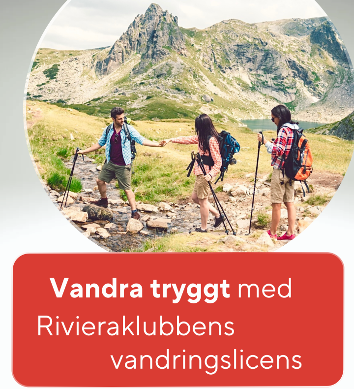 Försäkringar