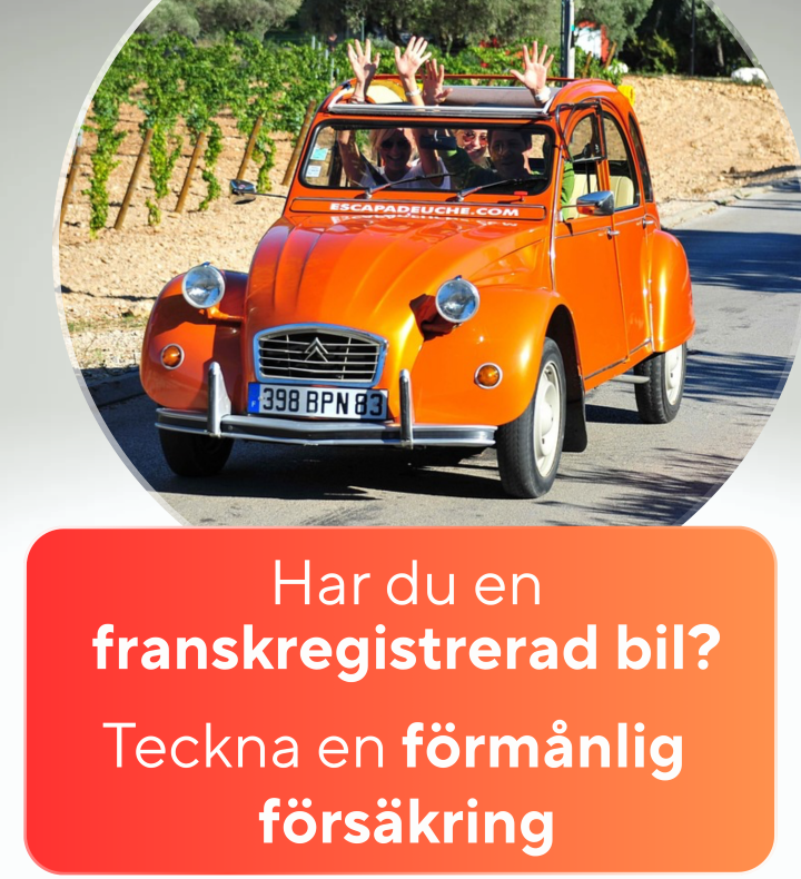 Försäkringar
