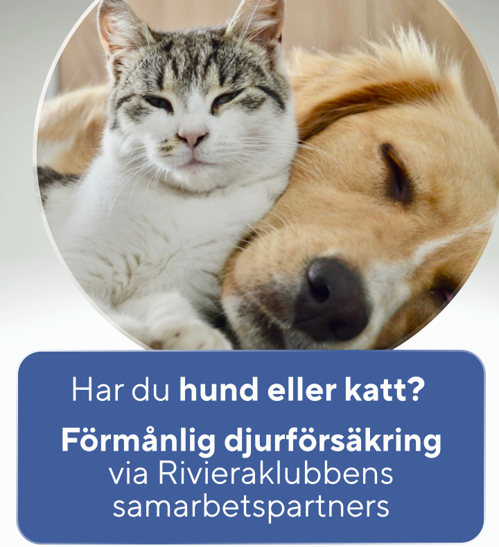 Försäkringar